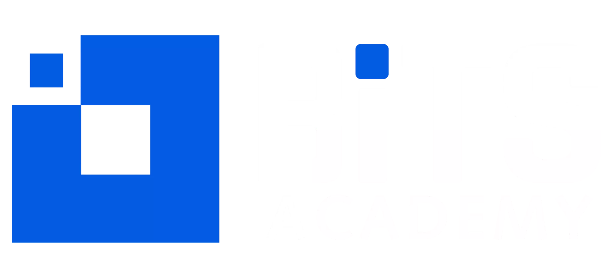 BiTS Academy